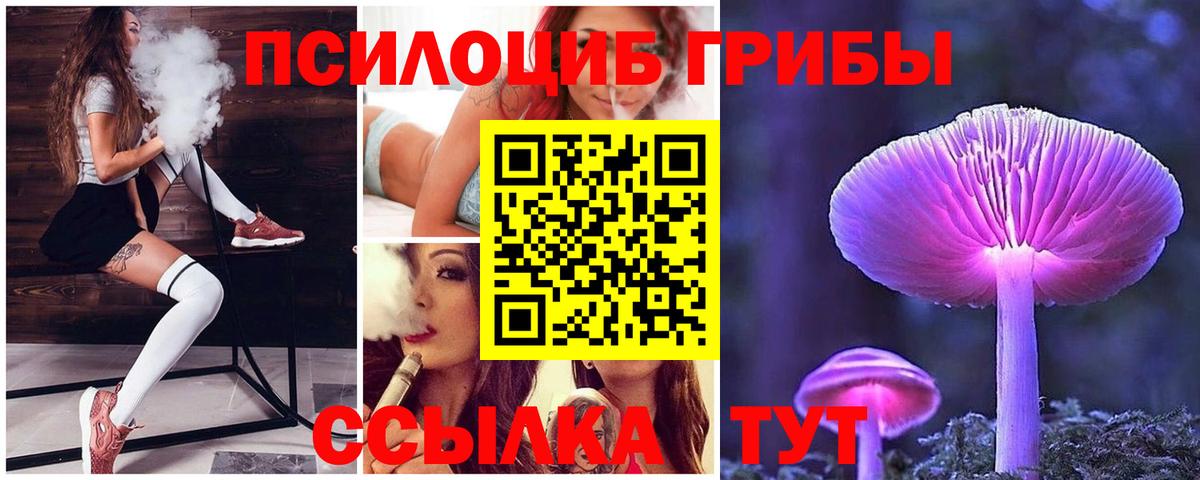 Горячий Ключ  Галлюциногенные грибы Magic Shrooms  где купить   Вход с VPN 